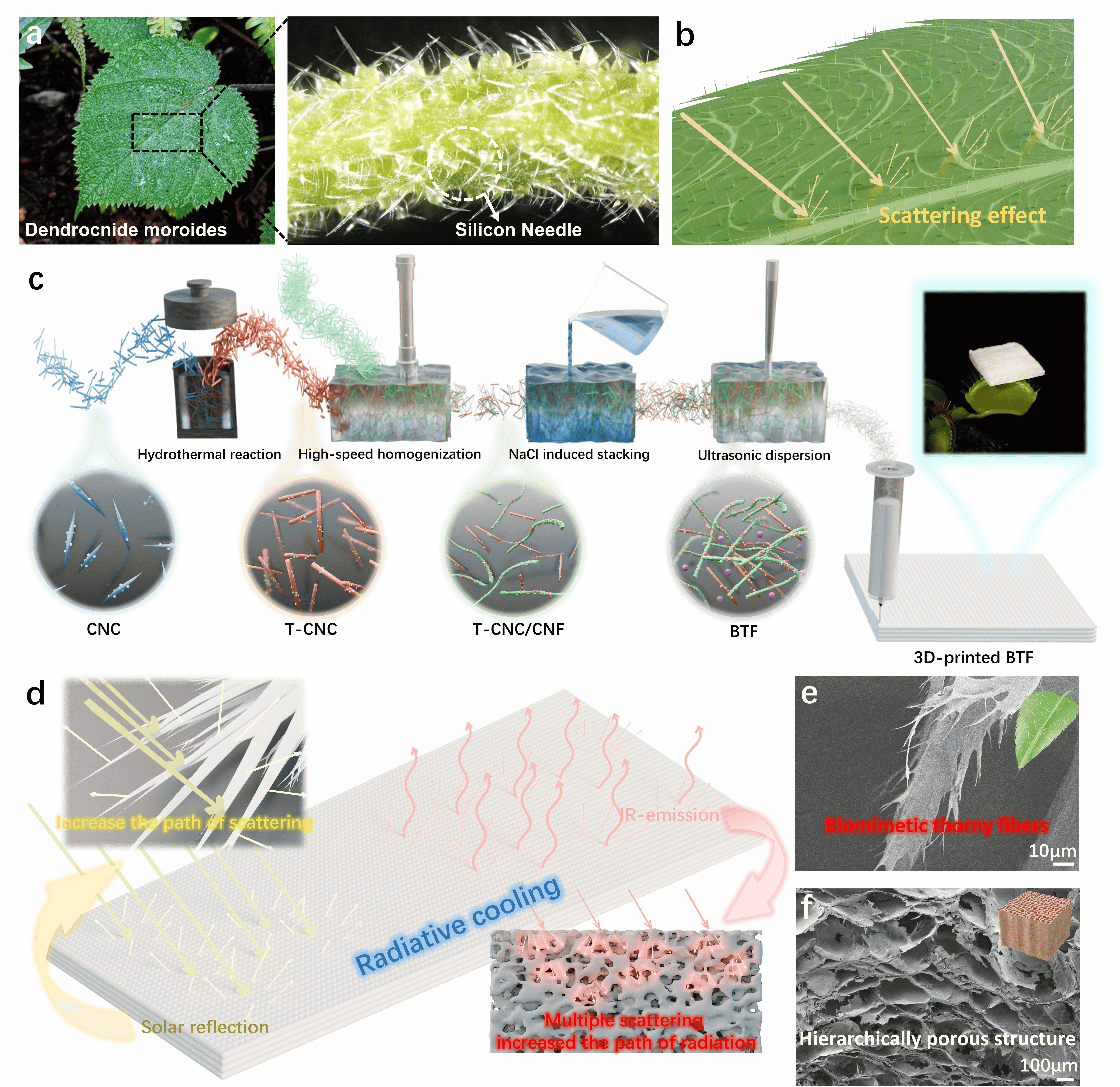 图片1_32609图片1