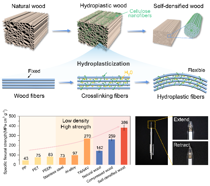图片1_69973图片1