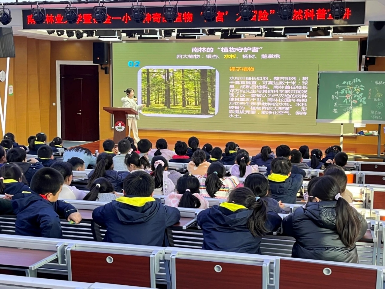 图片1_12146图片1