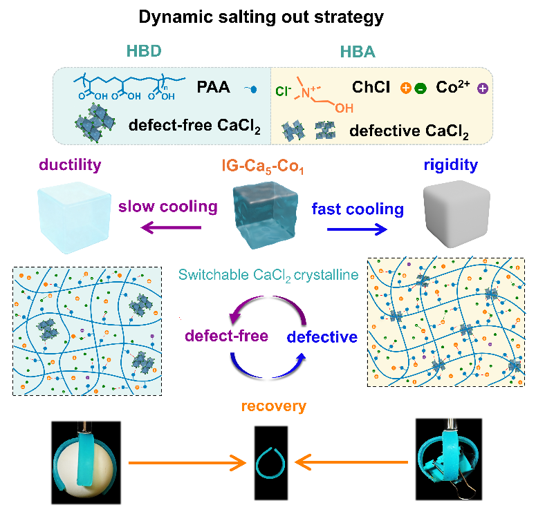 图片1_19461图片1
